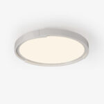 Edge Minimalist Ceiling Light