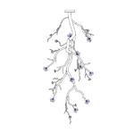 Large Long Branch Flower Chandelier - Image 11