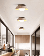 Caelo Ceiling Lamp - Image 4