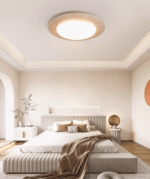 Terralux Ceiling Light - Image 12