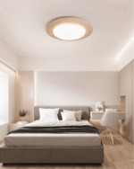 Terralux Ceiling Light - Image 14