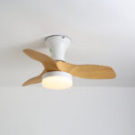 Brisa Ceiling Fan Light - Image 3