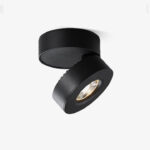 Lyric Adjustable Surface Downlight - Image 18