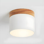 Alva Wooden Surface Downlight - Image 20