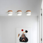 Alva Wooden Surface Downlight - Image 10