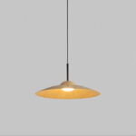 Arcadian Pendant Light - Image 20