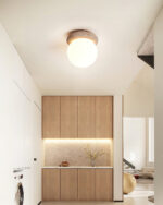 Asteroid Ceiling Lamp - Image 9