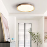 Aureum Edge Ceiling Light - Image 4
