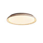 Aureum Edge Ceiling Light - Image 9