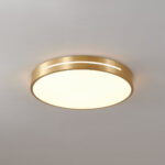 Caelum Ceiling Light - Image 2