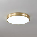 Caelum Ceiling Light - Image 4