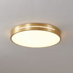 Caelum Ceiling Light - Image 9