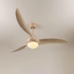 Traditional Ceiling Fan Light - Image 16