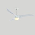 Traditional Ceiling Fan Light - Image 20