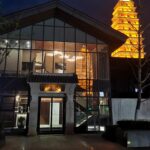 Gingko Leaves Chandelier - Image 19