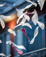 Flying Glass Feather Chandelier - Image 4