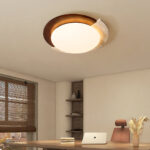 Eclipse Halo Ceiling Lamp - Image 17