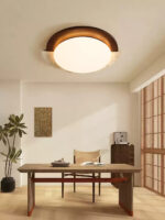 Eclipse Halo Ceiling Lamp - Image 19