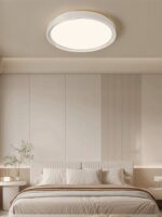 Edge Minimalist Ceiling Light - Image 10