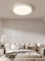 Edge Minimalist Ceiling Light - Image 13