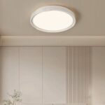 Edge Minimalist Ceiling Light - Image 2