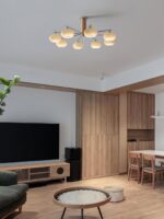 Elliptical Persimmon Chandelier - Image 15