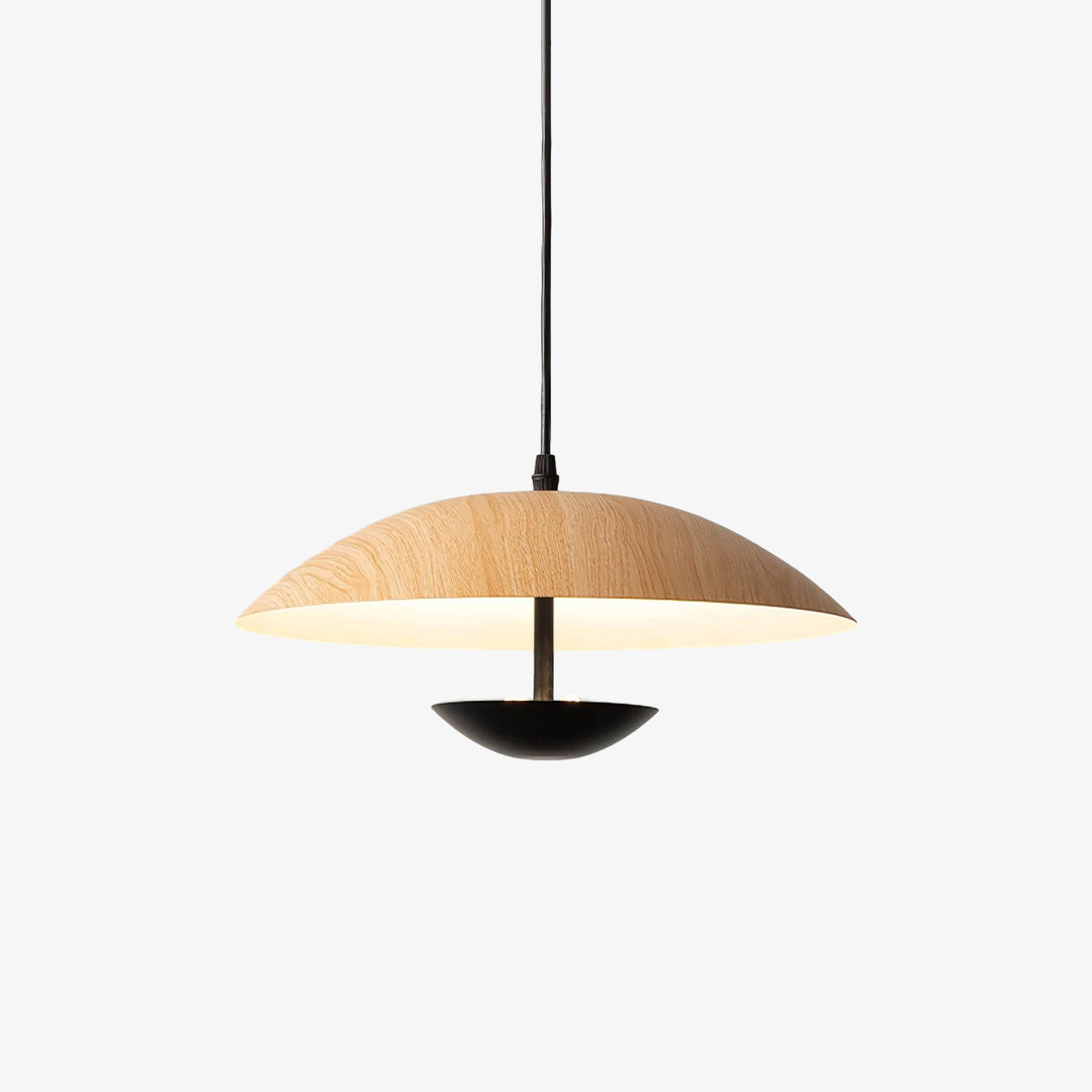 Frisbee_Pendant_Lamp___01_f9cb0346-b05e-4bb4-851d-45b31b7d87f9.jpg Frisbee Pendant Lamp - Image 1