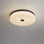 Frosted Dawn Ceiling Light - Image 13