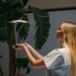 Ginger Table Light - Image 6