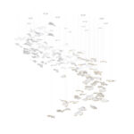 Ginkgo Tree Chandelier - Image 14