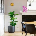 Gossa Wall Lamp - Image 8