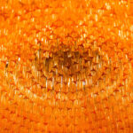 Grande Amaro Drum Chandelier - Image 18