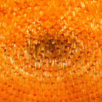 Grande Amaro Drum Chandelier - Image 7