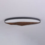 Half-Mountain Ceiling Lamp - Image 20