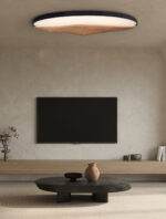 Half-Mountain Ceiling Lamp - Image 6