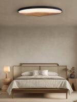 Half-Mountain Ceiling Lamp - Image 14