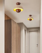 Inverted Ceiling Lamp - Image 12