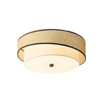 Liora Ceiling Lamp - Image 12