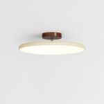 Drift Adjustable Ceiling Lamp - Image 9