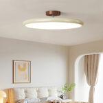 Drift Adjustable Ceiling Lamp - Image 17