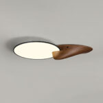 Lone Peak Ceiling Lamp - Image 17