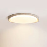 Lumen Arc Ceiling Light - Image 4