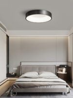 Lumenia Ceiling Light - Image 11