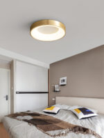 Lumenia Ceiling Light - Image 12