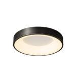 Lumenia Ceiling Light - Image 14