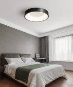 Lumenia Ceiling Light - Image 6