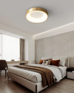 Lumenia Ceiling Light - Image 7