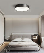 Lumenia Ceiling Light - Image 9
