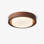 Lunor Ring Ceiling Light - Image 11