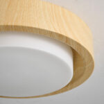 Lunor Ring Ceiling Light - Image 20